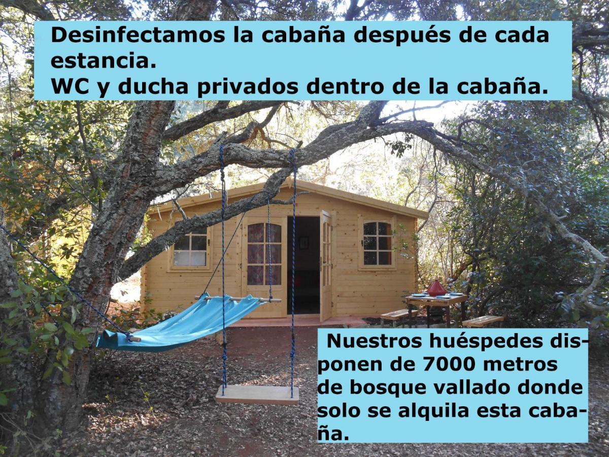 La Cabana Del Alcornoque Córdoba Buitenkant foto