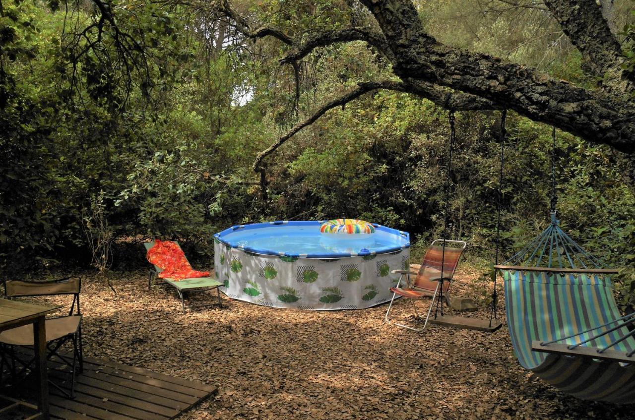 La Cabana Del Alcornoque Córdoba Buitenkant foto