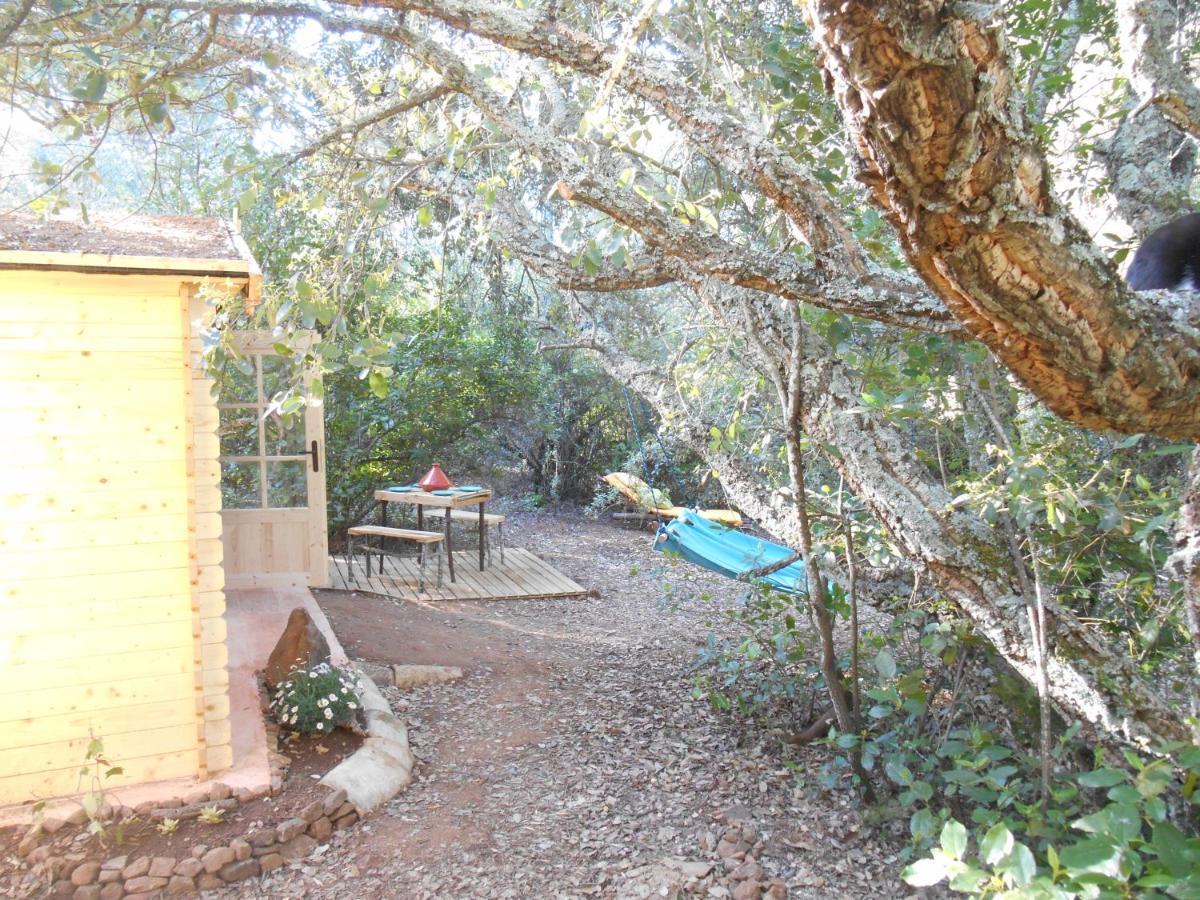 La Cabana Del Alcornoque Córdoba Buitenkant foto