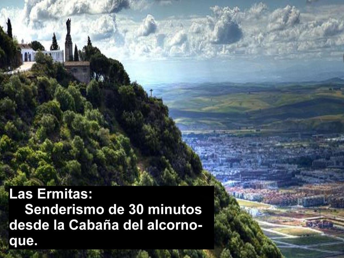 La Cabana Del Alcornoque Córdoba Buitenkant foto